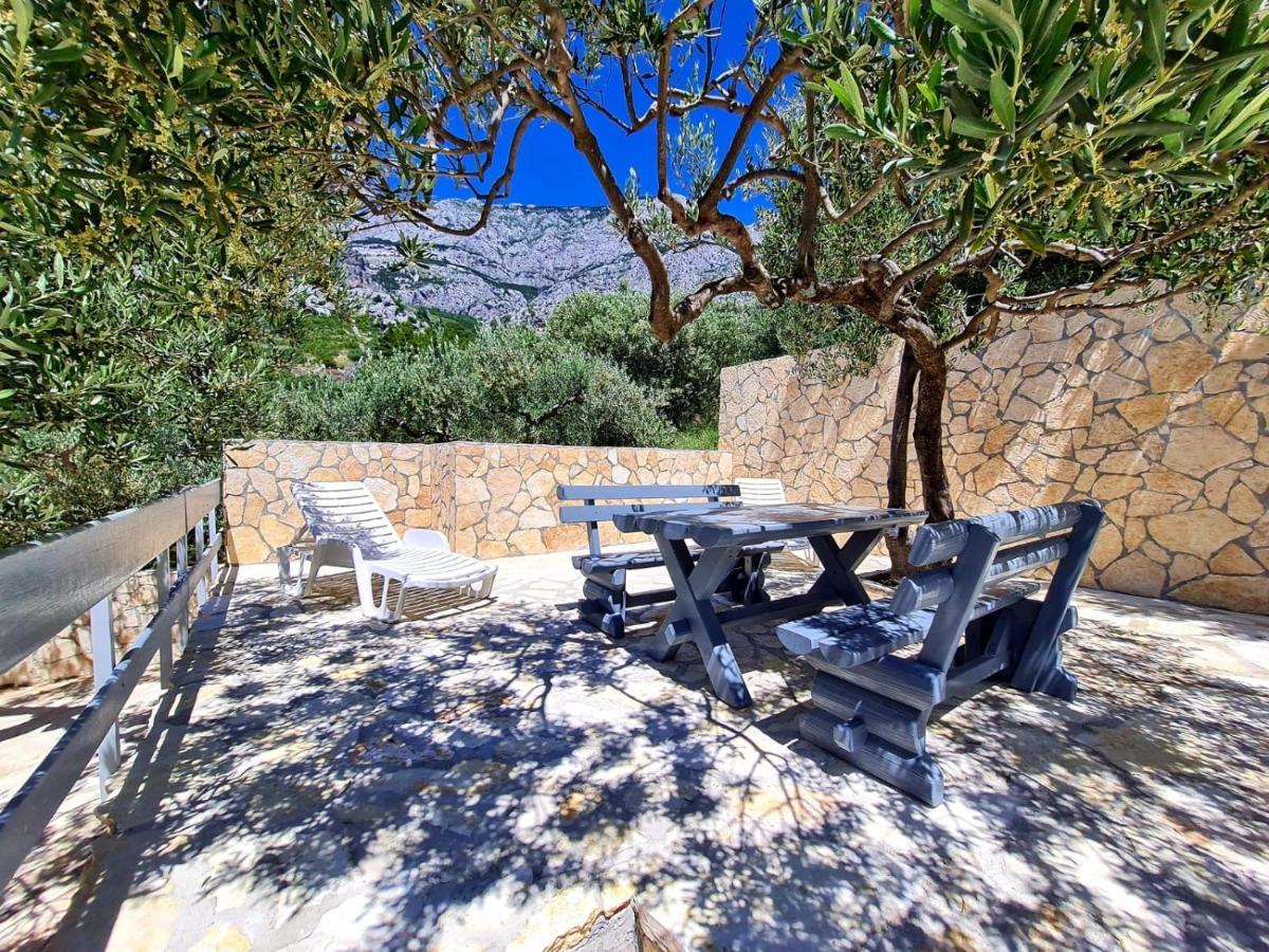 Vila Maslina Apartments Mit Pool Und Garten Nahe Am Strand Tučepi Extérieur photo