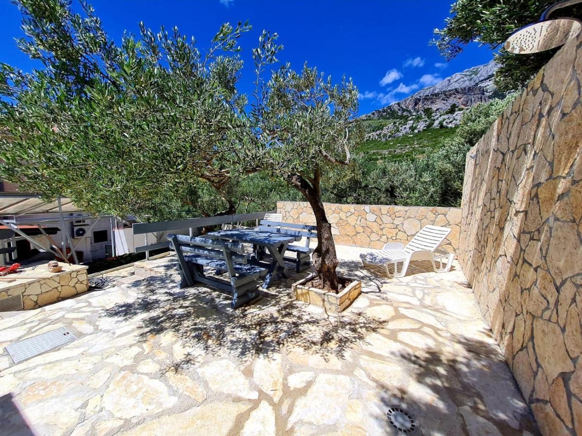 Vila Maslina Apartments Mit Pool Und Garten Nahe Am Strand Tučepi Extérieur photo